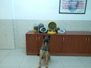 Evinde 50 bin liralık uyuşturucu ile yakalanan zanlı gözaltına alındı