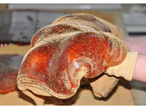 Mesir Macunu coğrafi işaret aldı