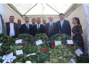 Ayvalık’ta 2. Doğa Festivali başladı