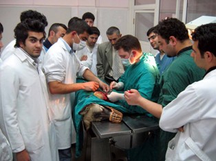 Hayvanların şifa bulduğu hastane