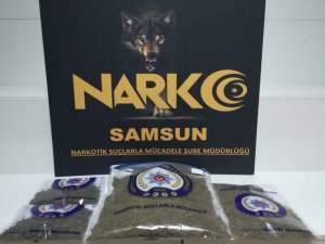 Tarlada gömülü 1 kilo 841 gram bonzaiyle yakalandı