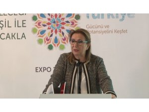 Ticaret Bakanı Pekcan: “Pekin 2019’a katılıma son derece önem verdik"