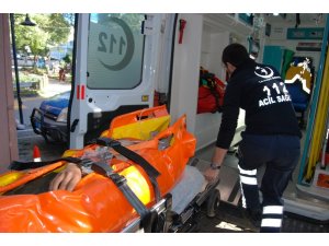 Orman işçisinin üzerine ağaç düştü