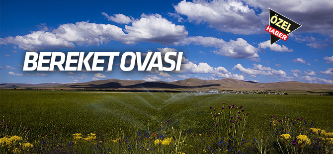 Konya’da tarım alanı  1 milyon 837 bin 344 hektar