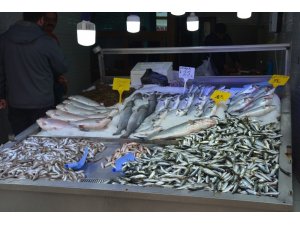 Sinoplu balıkçılardan sezon değerlendirmesi