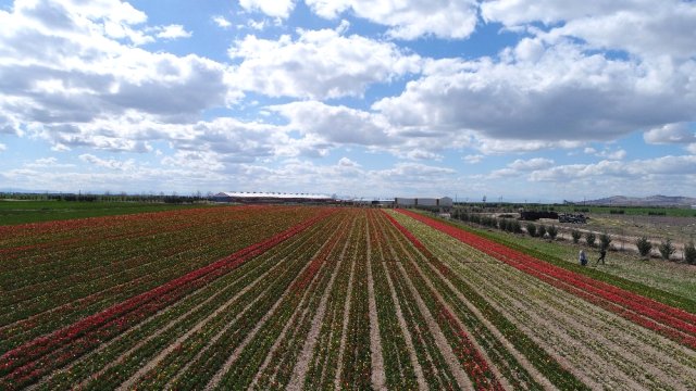 Konya Ovası'nda Görsel Şölen