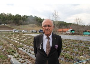 Kırsaldaki yoksulluk, köyden kente göç çilekle yenilecek