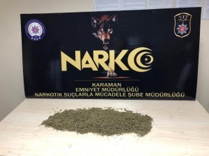 Karaman’da bonzai operasyonuna: 5 tutuklama