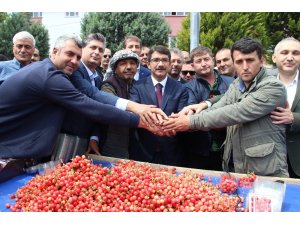 İlk kiraz 250 liradan satıldı