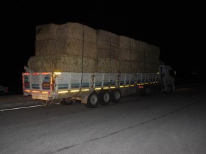 Konya'da otomobil tıra çarptı: 5 yaralı