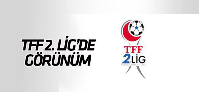 TFF 2. Lig'de görünüm