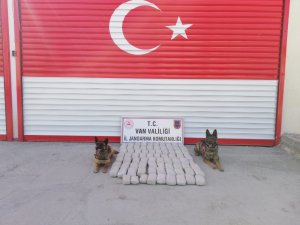 Özalp’ta 81 kilo esrar ele geçirildi