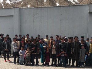 Başkale’de 61 kaçak göçmen yakalandı