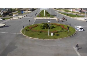 Firari atlar kamerada