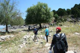 Sürüngenler araştırma konusu oldu