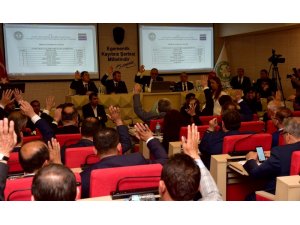 Meclis üyelerinin görevleri belli oldu