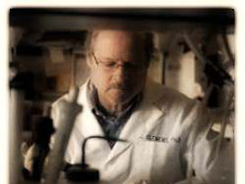 Akademisyen alınacak üniversite