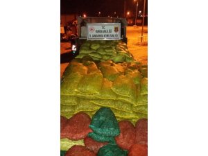 Bursa’da kaçak midye operasyonu