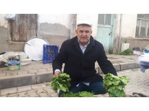 Yaprağı meyvesinden pahalı