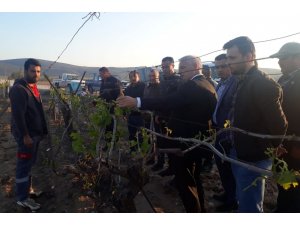 Başkan Bilgin dolunun zarar verdiği tarım alanlarını inceledi