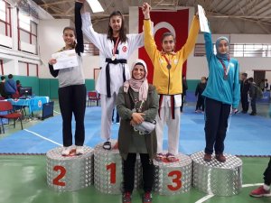 Büşra Öztürk Analig Taekwondo’da Türkiye Şampiyonu