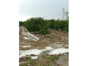 Barut: "Çukurova, afet bölgesi ilan edilsin"