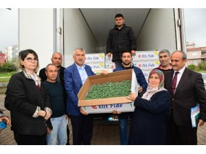 Başkan Karalar’dan köylüye domates fidesi desteği