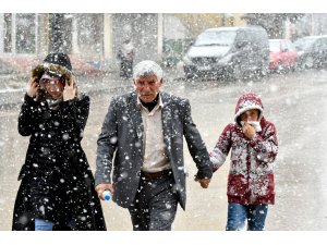 Kars ve Ardahan'da kar yağışı