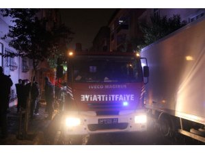 İtfaiyeden kedi ve yavrularına şefkat eli