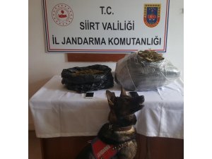 Siirt’te uyuşturucu operasyonu