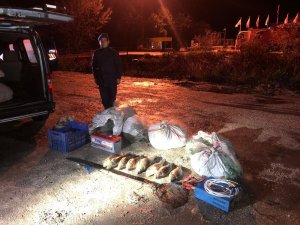 Isparta’da kaçak avcılara ceza yağdı