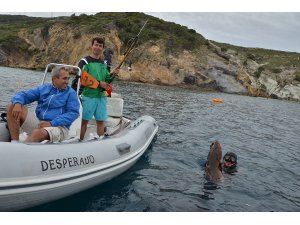 Zıpkınla Balık Avı Kulüpler Arası Türkiye Şampiyonası