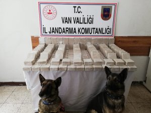 101 kilo eroin, hassas burunlu Alem ve Barut’a takıldı