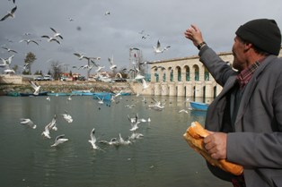 Beyşehir Gölü kiraya verilecek