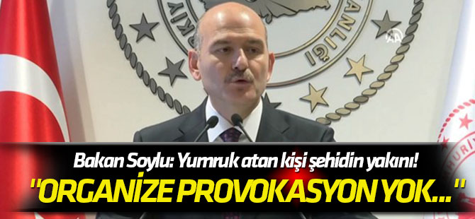 "Organize provokasyon yok..." Bakan Soylu: Yumruk atan kişi şehidin yakını!