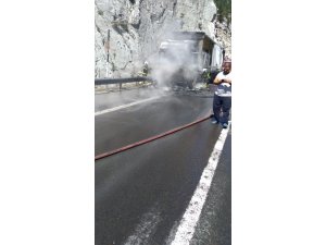 Çay yüklü tır yandı