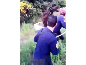 10 metrelik foseptik çukuruna düşen at için seferberlik