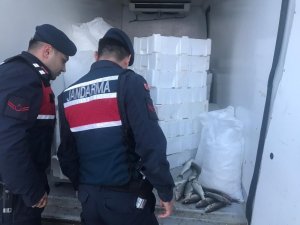 Bursa’da kaçak balık avcılığına geçit yok