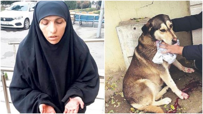 Tuzla'da suçüstü yakalandı... 3 yıldır sokak hayvanlarıyla besleniyor!