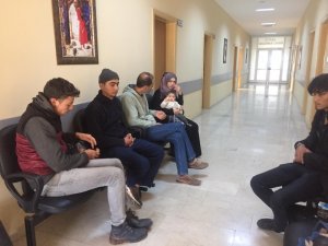 Hatay’da 8 kaçak göçmen yakalandı