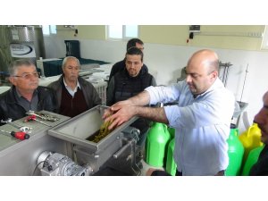 Ses dalgaları ile zeytin yağı üretecekler
