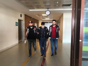 Edirne'de bir tırda 450 kilo skunk ele geçirildi