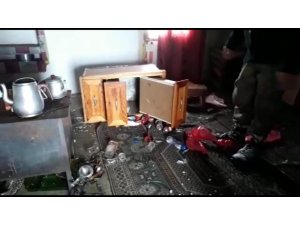 Ayılar kış uykusundan uyandı, yayla evlerini mesken tuttu