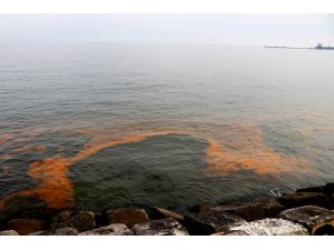Planktonların çoğalmasıyla Marmara Denizi turuncuya büründü