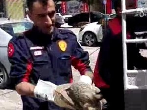 Apartmanın 4. katında mahsur kalan kedi kurtarıldı