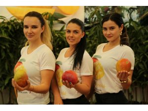 Tanesi 30 lira olan mangonun fidanı da kapış kapış satılıyor