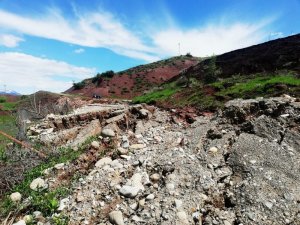 Siirt’te aşırı yağışlar nedeniyle fıstık ağaçları göçük altında kaldı