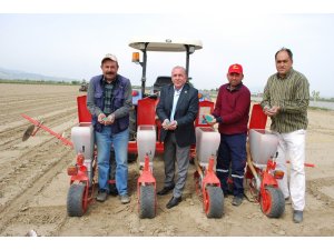 "Beyaz altın” Salihli topraklarına geri döndü