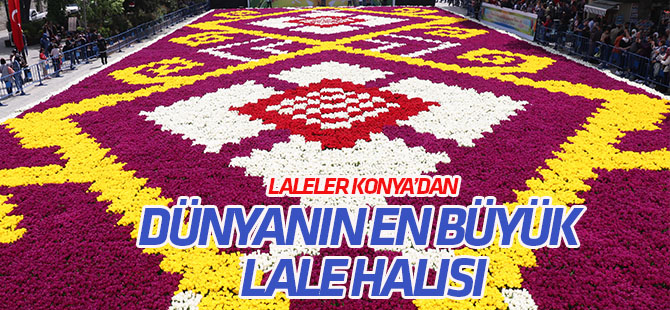 Konya’daki lalelerden Sultanahmet'te dünyanın en büyük "lale halısı"