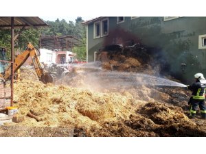Çevre temizliği için yakılan ateş 400 balya samanı yaktı